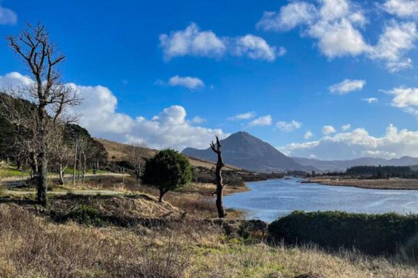 شقة Donegal Luxury Pods غوييدور المظهر الخارجي الصورة